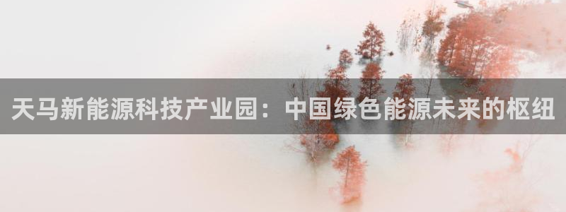 sunbet燃气灶