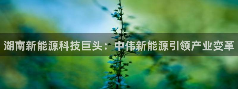 sunbet手机版登录