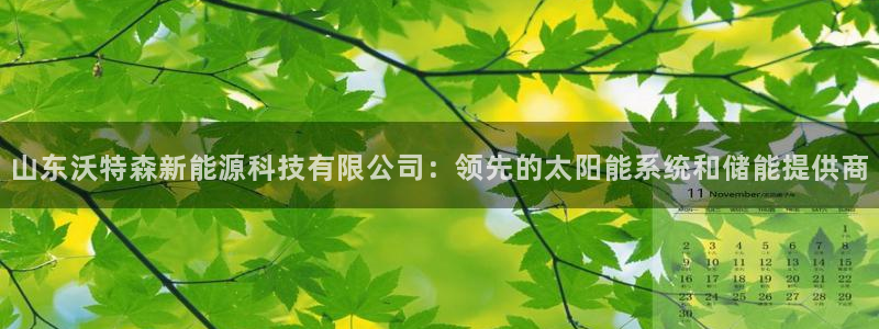 sunbet最新消息