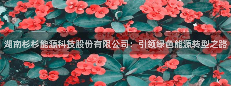 sunbet游戏官网