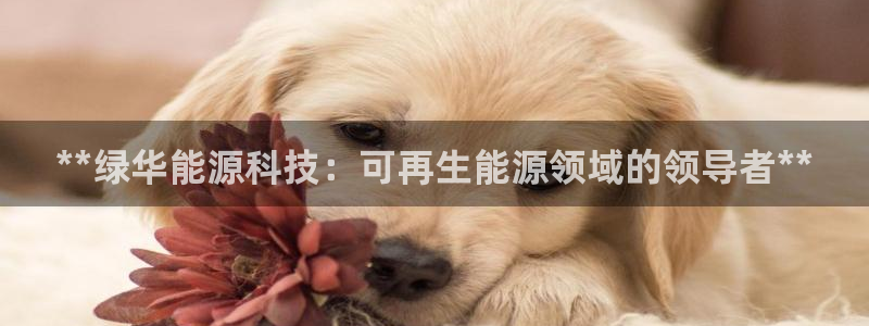 sunbet游戏
