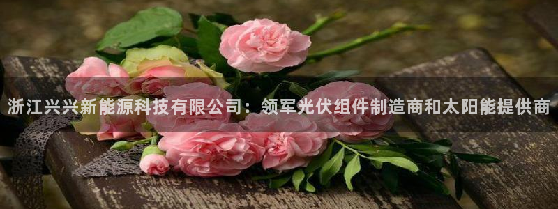 申博视讯