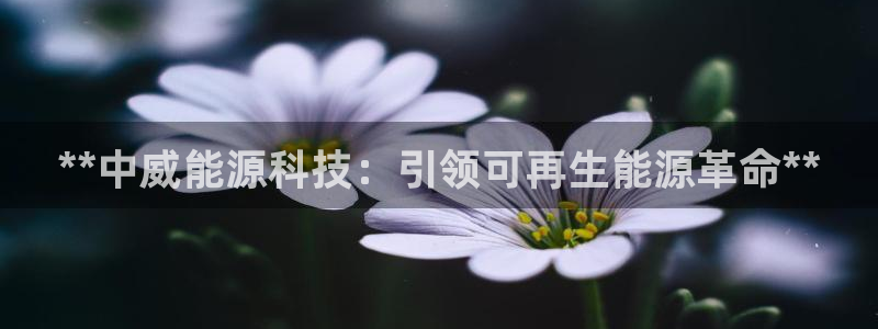 sunbet手机网页版下载