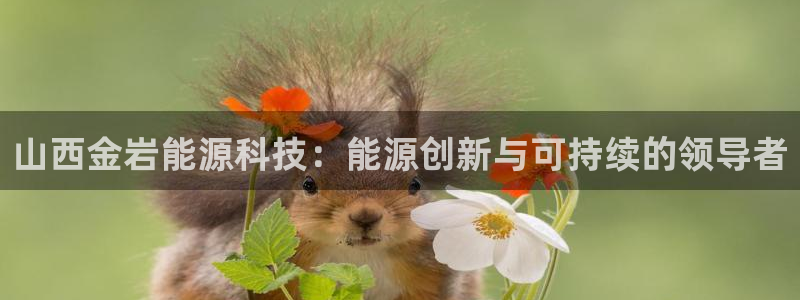 sunbet申搏平台