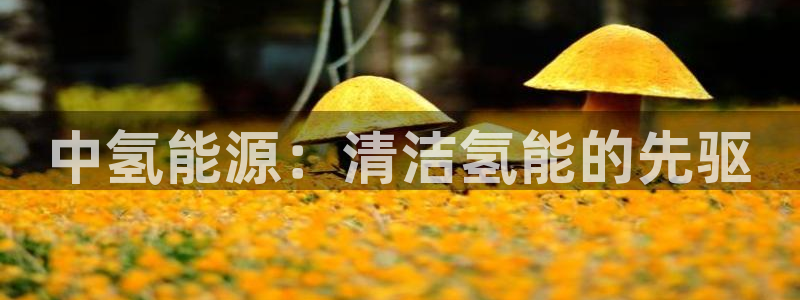 sunbet程序