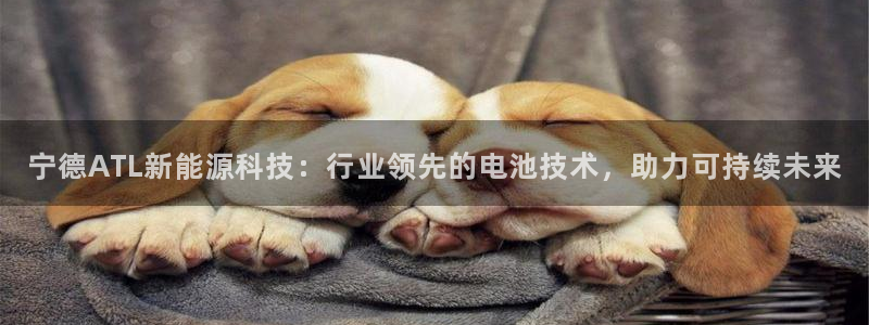 sunbet手机网页版