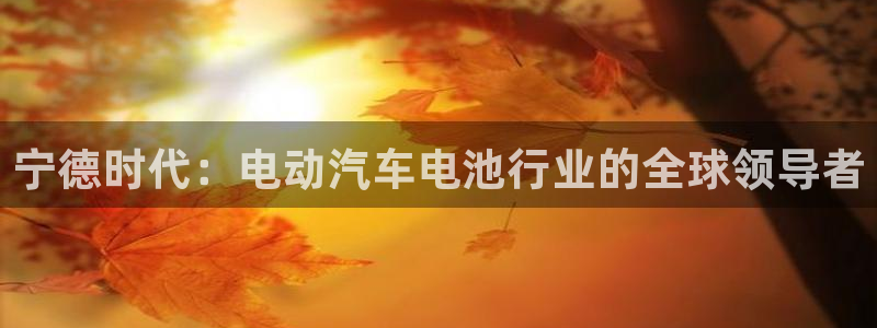 sunbet官网开户登录手机版
