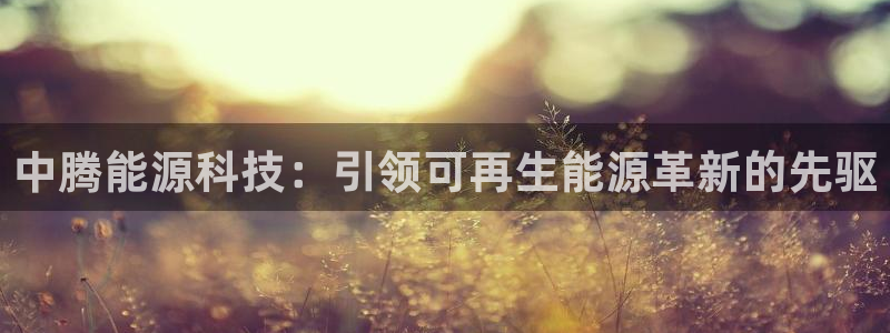 sunbet游戏官网