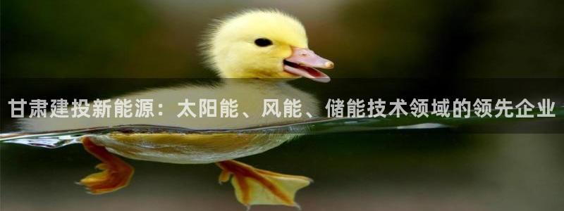 sunbet线上真人手机版