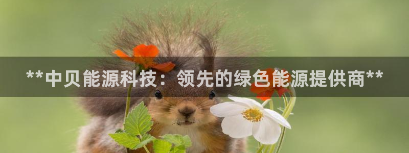 sunbet官网登录首页