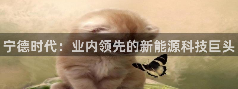 sunbet游戏地址