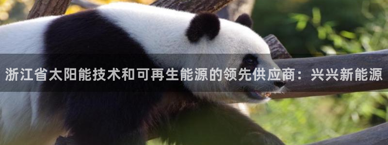 sunbet苹果官网下载