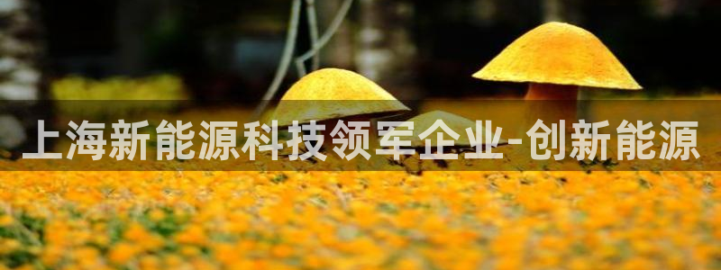 sunbet中国官网