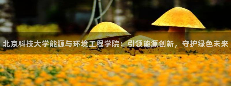 sunbet官网welcome