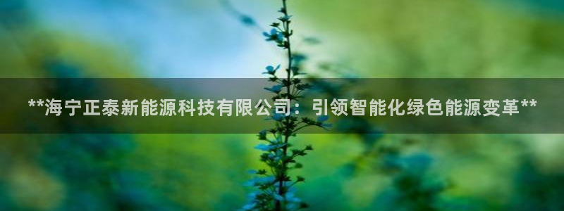 sunbet中文