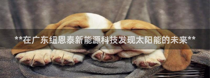 sunbet苹果官网下载