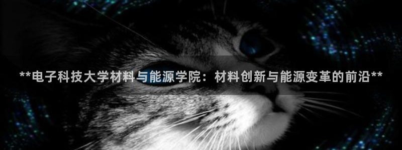 sunbething怎么读