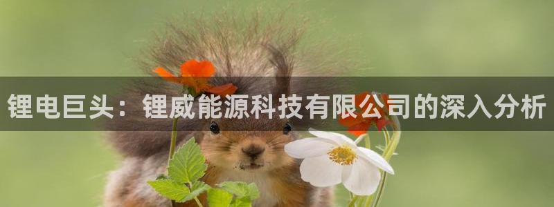 sunbet申搏官方网站