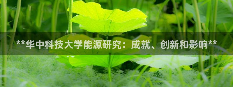 sunbet安卓下载