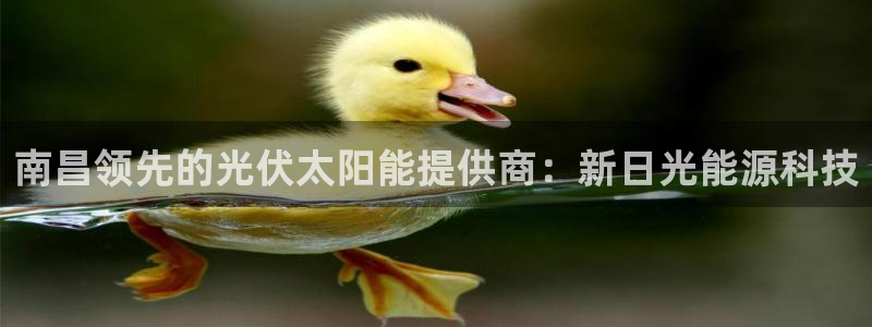 sunbet手机网页版下载