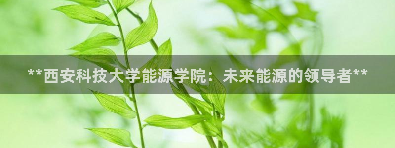 申博手机版官网