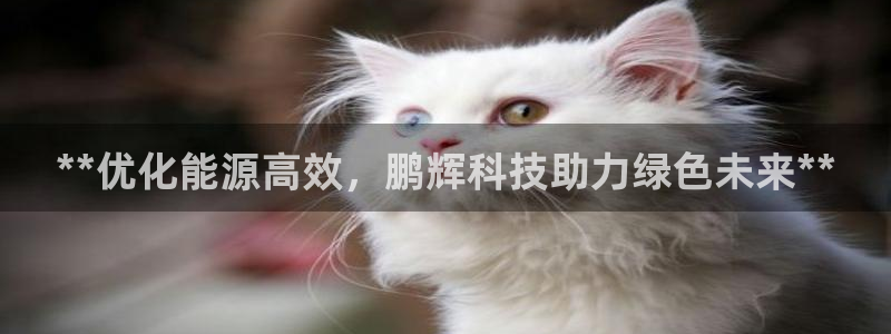 sunbet靠谱吗
