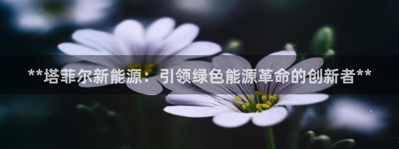 sunbet申搏官网