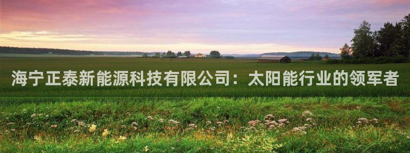 sunbet手机网页版本