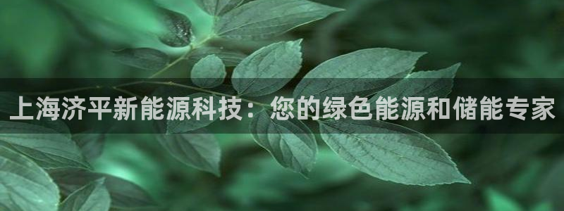 申博官网手机版下载app