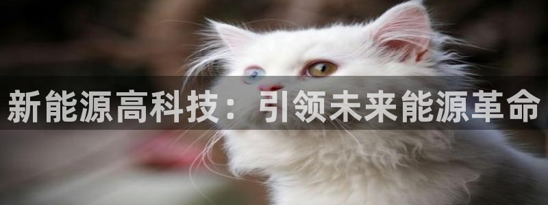 申博手机网站