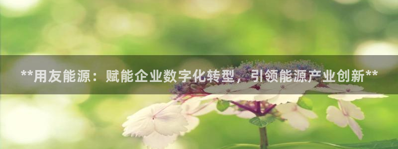 sunbet首页登录入口