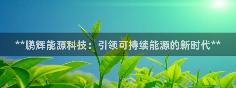 sunbet游戏官网