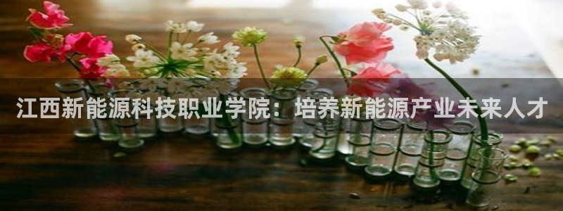 sunbet中文