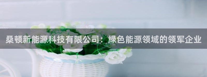 进入sunbet官网手机版登陆