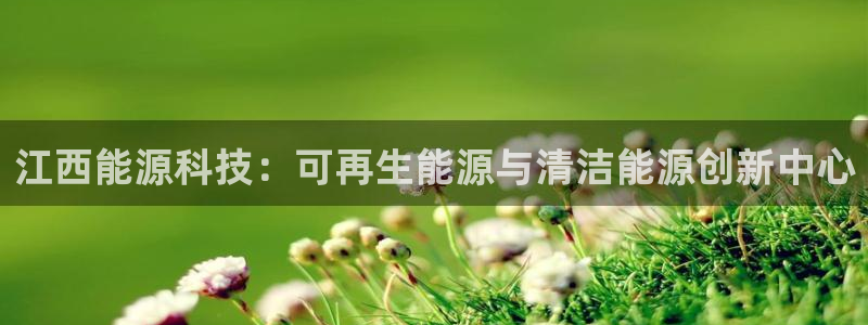 sunbet程序