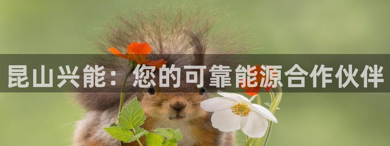 申慱sunbet网站