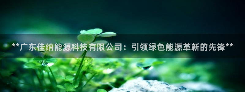 sunbet官网代理下载