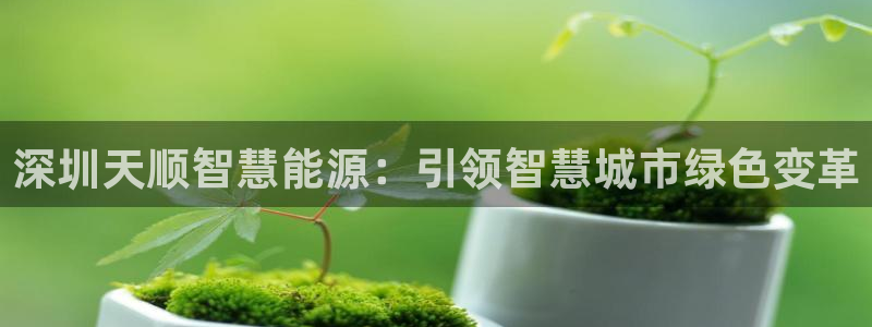 sunbet官网手机版登录