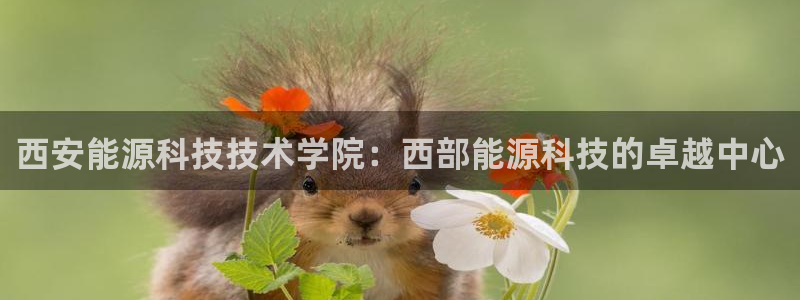 sunbet手机网页版下载