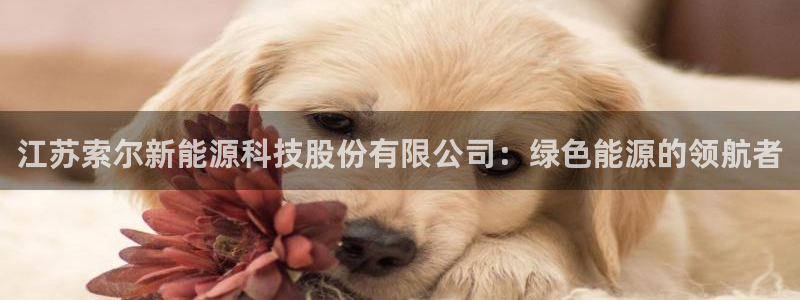 sunbet游戏地址