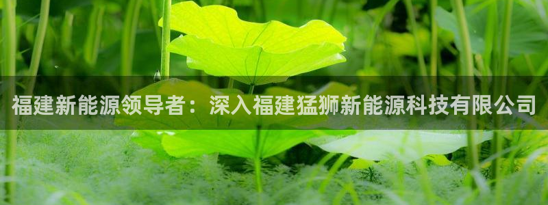 sunbet靠谱吗