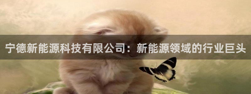 sunbet申搏平台