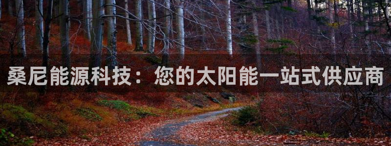 sunbet游戏