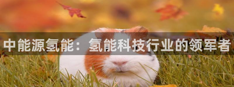 sunbet安卓下载