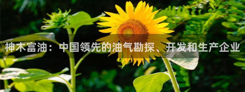 下载申搏sunbet并安装app