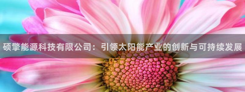 sunbet线上真人手机版