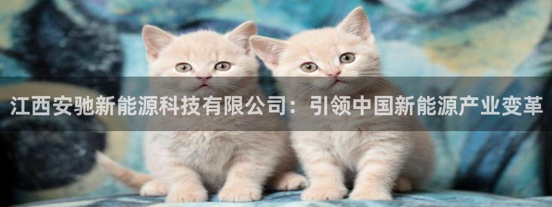 sunbet手机app版