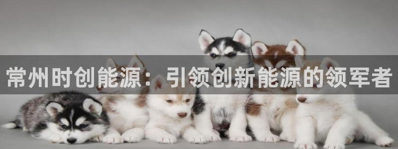 sunbet游戏地址