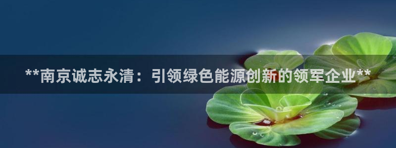 sunbet苹果app