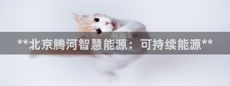 sunbet手机端